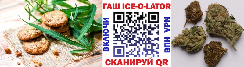 MEGA ТОР  магазин продажи наркотиков  Каменск-Уральский  Cannafood конопля 