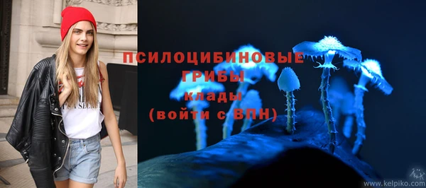 МДПВ Алзамай