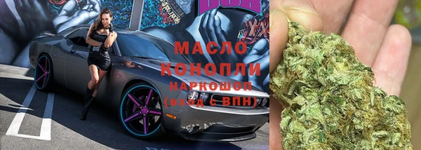 молекула духа Алексин