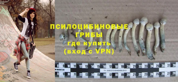 молекула духа Алексин