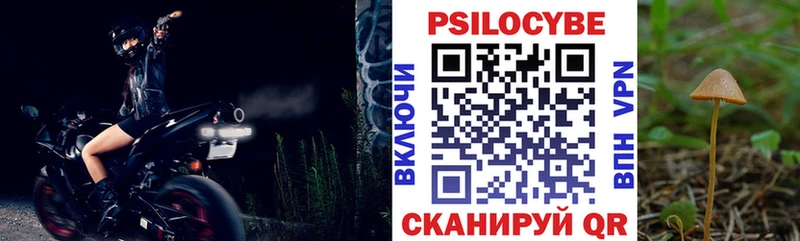 Галлюциногенные грибы Psilocybe  Каменск-Уральский 